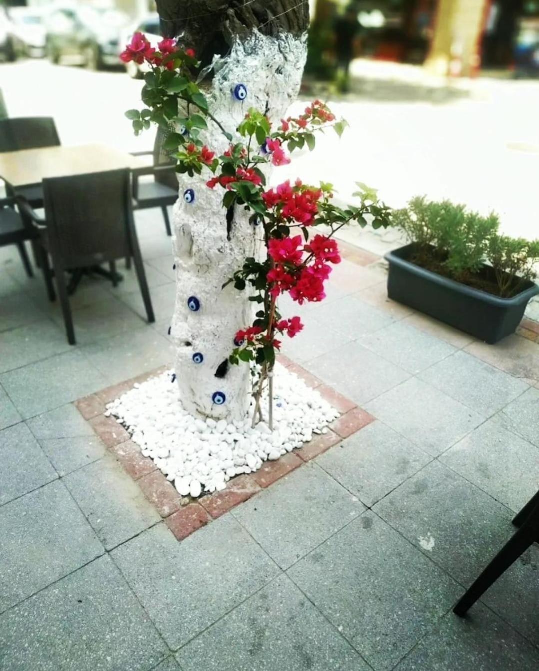 Punta Vista Hotel İzmir Exteriér fotografie